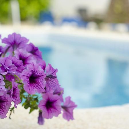 La Crisalida Retreats Hotel El Albir Exterior photo
