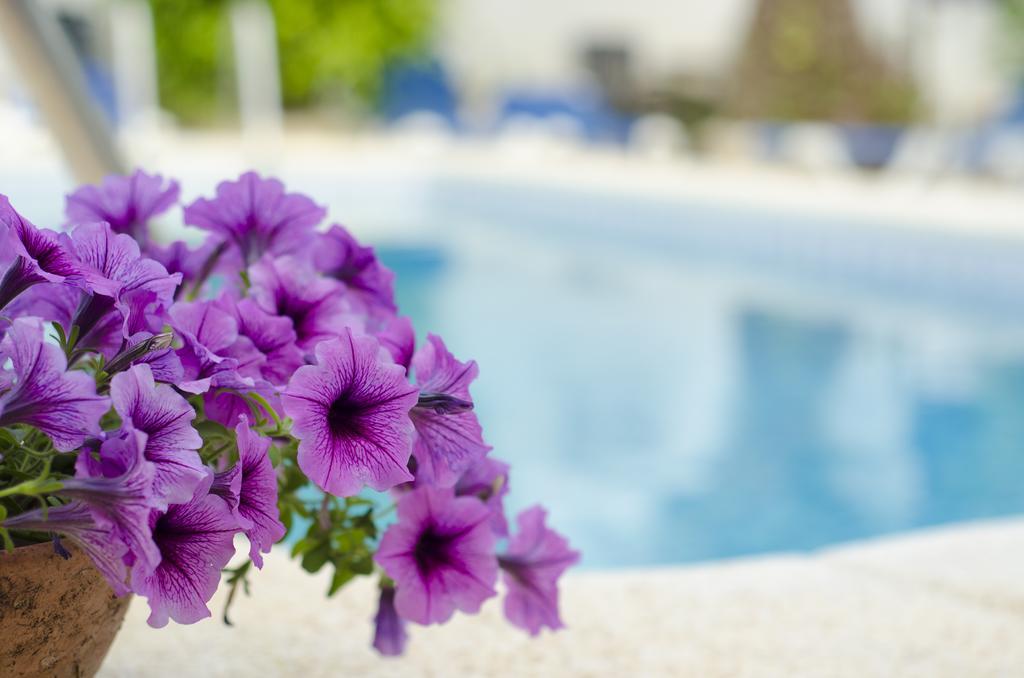 La Crisalida Retreats Hotel El Albir Exterior photo